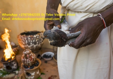 Powerful Spell to Make Someone Love You – Win Back My Ex Lover Spells +27673942335 Dr Tebo Voodoo Priest
