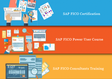 SAP FICO Course in Delhi, Noida, Gurgaon, SLA Accounting Institute, SAP s/4 Hana Finance Certification, BAT Training Classes, Republic Day Jan23 Offer,