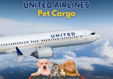 How does it cost for pet on united airlines cargo